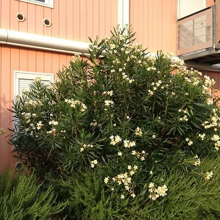 Lidotel 拉莫维勒·圣阿日