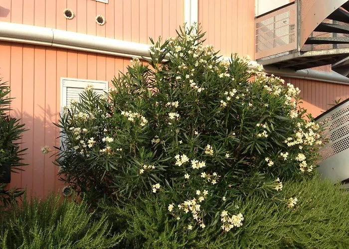 Lidotel ラモンヴィル・サン・タニュ