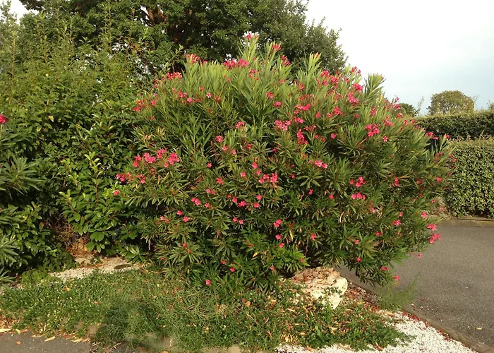 ホテル Lidotel ラモンヴィル・サン・タニュ